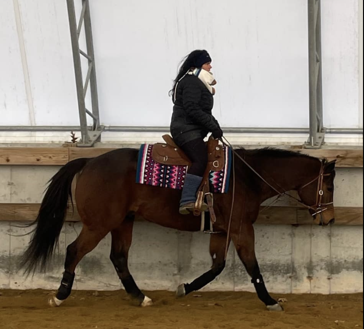 Why Every Good Horse Trainer Has a Trainer